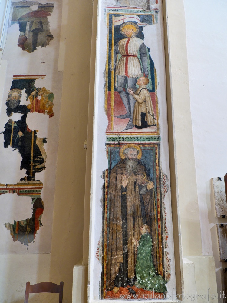 Pesaro (Pesaro e Urbino) - Affreschi di San Terenzio e Sant'Antonio Abate nel Santuario della Madonna delle Grazie